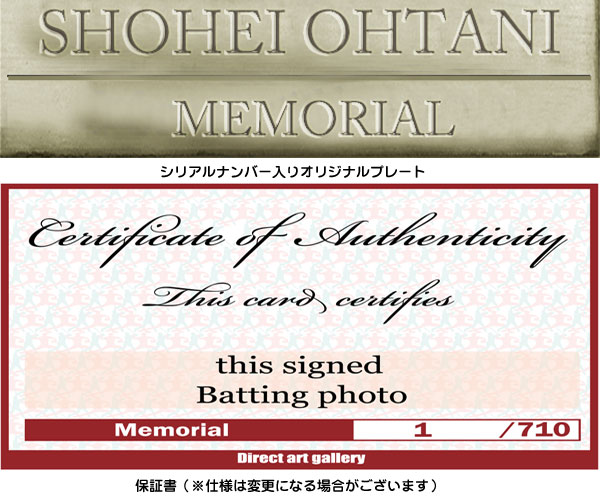 大谷翔平｣直筆サイン入り写真額（バッティングバージョン）（26-0736 