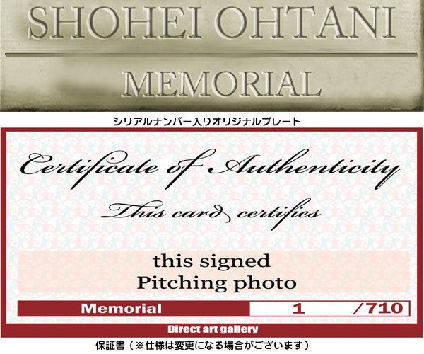 大谷翔平｣直筆サイン入り写真額（ピッチングバージョン）（26