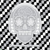 BIGBANG 2011 LIVE CONCERT CD BIGSHOW e通販.com