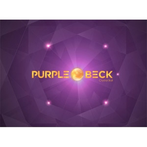 PurpleBeck／Crystal Ball （1st Mini Album）＜ナンバリング限定盤＞  e通販.com
