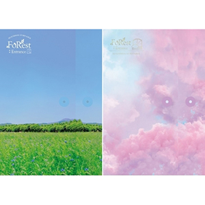 限定セール -SALE ソ・ウングァン (BTOB)／FoRest Album Mini (1st Entrance : アイドル