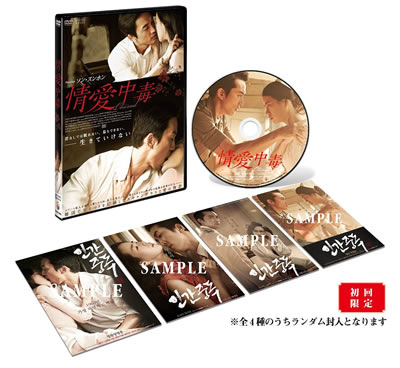 情愛中毒 通常版 DVD-BOX e通販.com