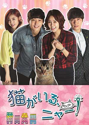 猫がいる、ニャー！DVD-BOX2 e通販.com