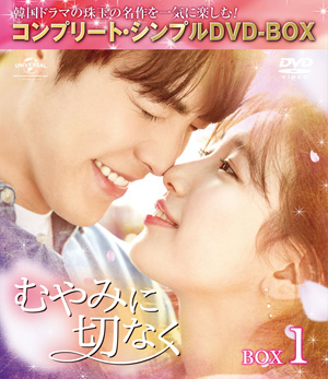 むやみに切なく シンプルDVD-BOX