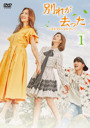 別れが去った～マイ・プレシャス・ワン～ DVD-BOX1 e通販.com