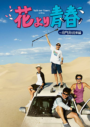 花より青春～双門洞(サンムンドン)4兄弟編DVD-BOX