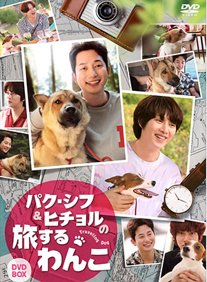 パク・シフ＆ヒチョルの旅するわんこ DVD-BOX e通販.com