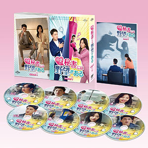 可愛い秘書には野望がある DVD-SET1 e通販.com