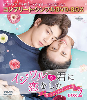 イジワルな君に恋をした～Sweet First Love～ BOX2 <コンプリート・シンプルDVD‐BOX5000円シリーズ>【期間限定生産】 e通販.com