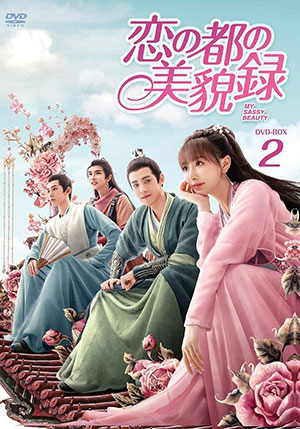 恋の都の美貌録 DVD-BOX2 e通販.com