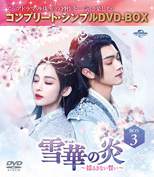 雪華の炎~揺るぎない誓い~ BOX3 <コンプリート・シンプルDVD‐BOX5500円シリーズ>【期間限定生産】 e通販.com